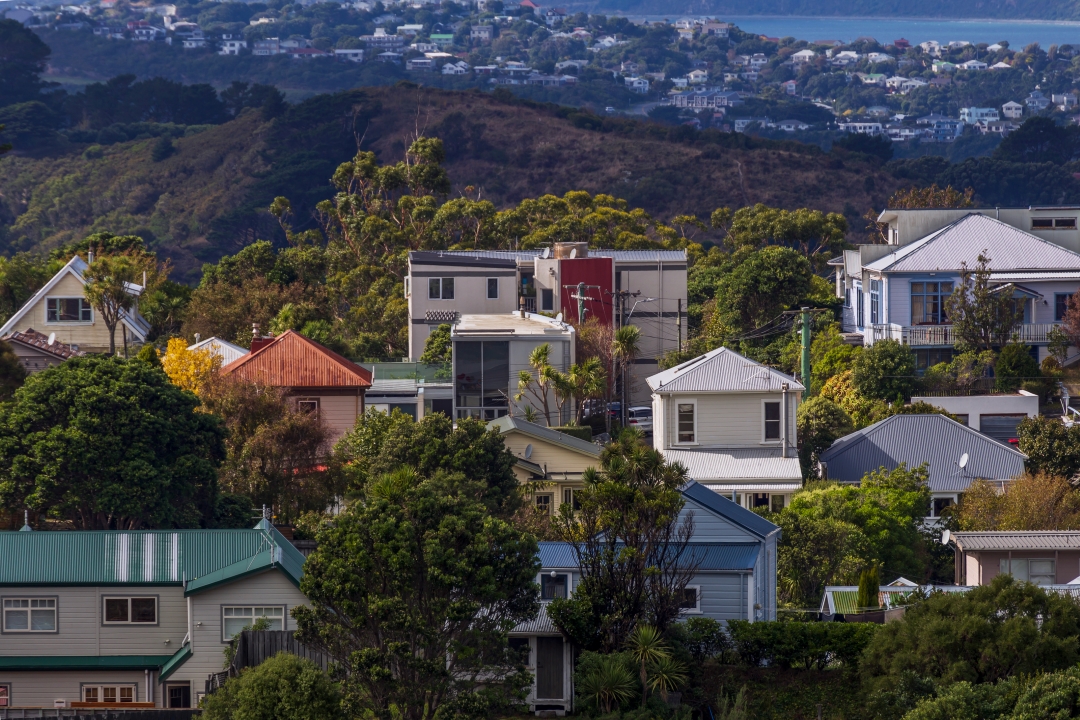 REINZ June data: Buyer activity and sales up, new listings still lag